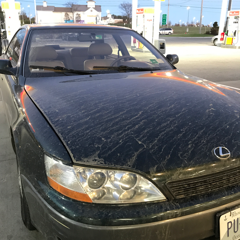 The dirt entrance was a little muddy.